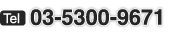 TEL�F03-5300-9671